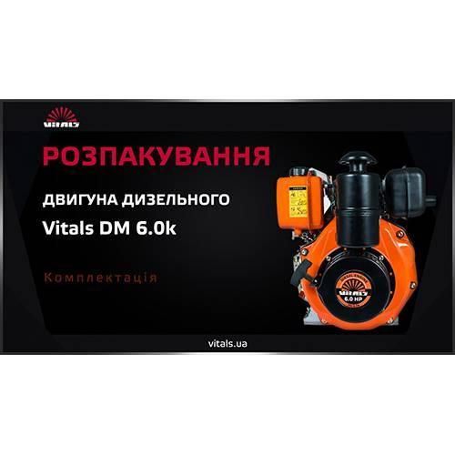 Двигун дизельний Vitals DM 6.0k 000077318 фото