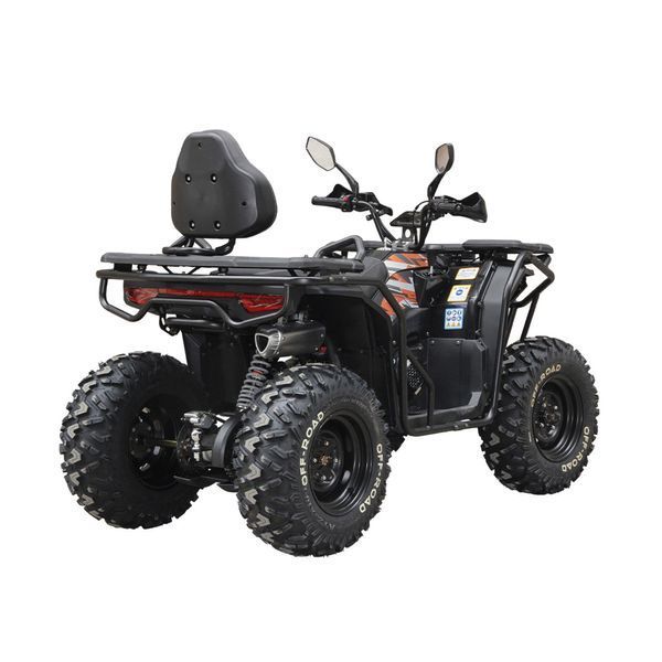 Квадроцикл Spark APEX 250 256382 фото