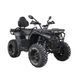 Квадроцикл Spark APEX 250 256382 фото 2