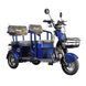 Трицикл с электромотором Spark Force 1000W 254254 фото 1
