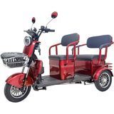 Трицикл с электромотором Spark Pulse 1000W 252079 фото