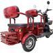 Трицикл с электромотором Spark Pulse 1000W 252079 фото 6