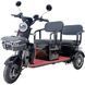 Трицикл с электромотором Spark Pulse 1000W 252079 фото 2