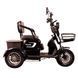 Трицикл с электромотором Spark Ride 1000W 252073 фото 10