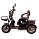 Трицикл с электромотором Spark Ride 1000W 252073 фото 6