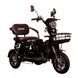 Трицикл с электромотором Spark Ride 1000W 252073 фото 1