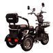 Трицикл с электромотором Spark Ride 1000W 252073 фото 9