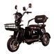 Трицикл с электромотором Spark Ride 1000W 252073 фото 5