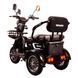 Трицикл с электромотором Spark Ride 1000W 252073 фото 7