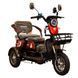 Трицикл с электромотором Spark Ride 1000W 252073 фото 2