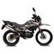 Мотоцикл Shineray CXR 250 XY250GY-6C CXR 250_brown/gray фото