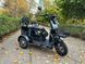 Электрический трицикл Corso &laquo;PROTEX&raquo; PR-702588, электродвигатель 1200W, аккумулятор72V/23Ah, колеса 300-12 181882 фото 4