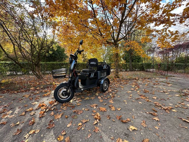 Электрический трицикл Corso &laquo;PROTEX&raquo; PR-702588, электродвигатель 1200W, аккумулятор72V/23Ah, колеса 300-12 181882 фото