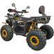Квадроцикл с электромотором Spark Storm 1500W 251278 фото 7
