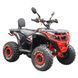 Квадроцикл Spark APEX 125 253839 фото 1