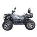 Квадроцикл Spark APEX 250SE 253849 фото 6