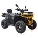 Квадроцикл Spark GRAND 200 253841 фото 3