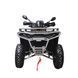 Квадроцикл Spark GRAND 250SE 253847 фото 3