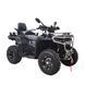 Квадроцикл Spark GRAND 250SE 253847 фото 1
