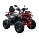 Квадроцикл Spark IRON 200 253845 фото 2
