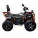 Квадроцикл Spark IRON 200 253845 фото 11