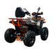 Квадроцикл Spark IRON 200 253845 фото 10