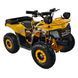 Квадроцикл с электромотором Spark Junior 1000W 251274 фото 3