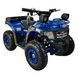 Квадроцикл с электромотором Spark Junior 1000W 251274 фото 1